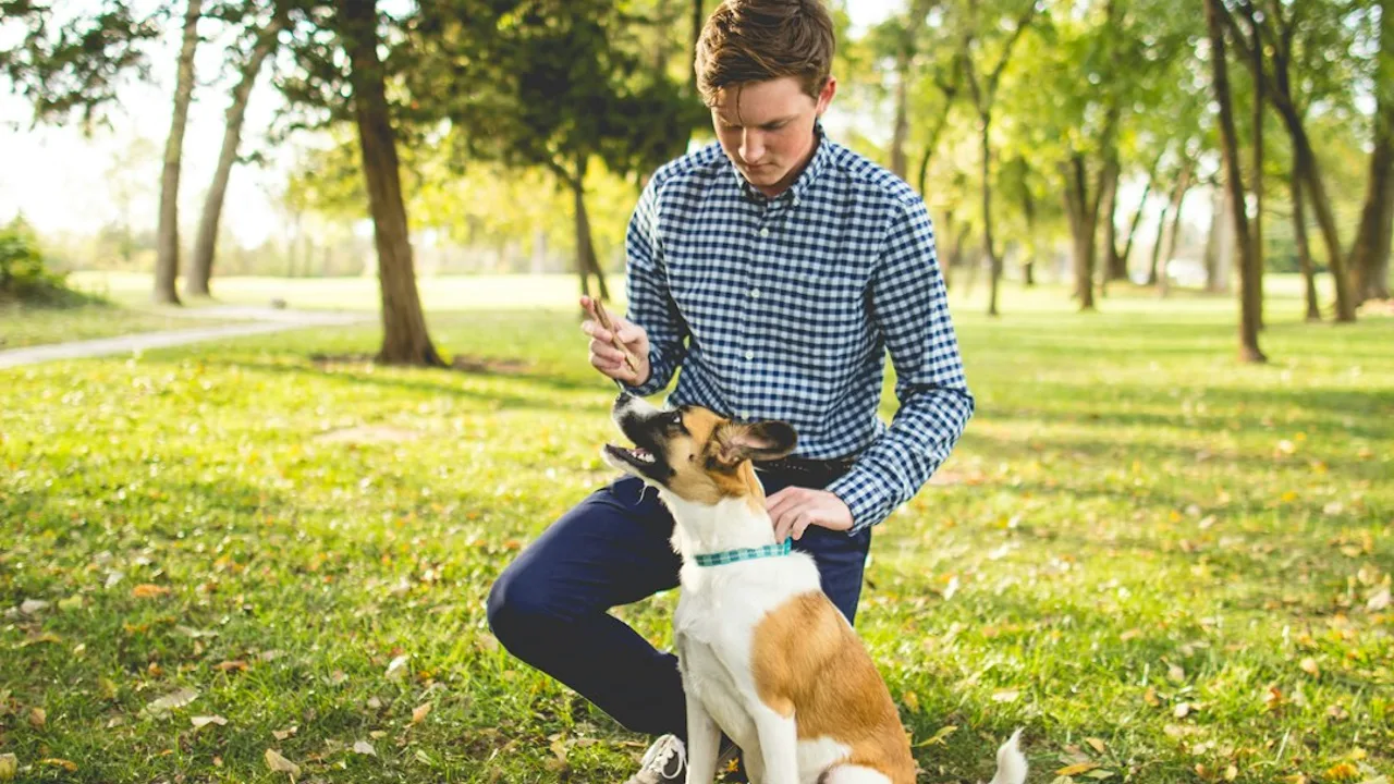 Fotografía ilustrativa de un perro