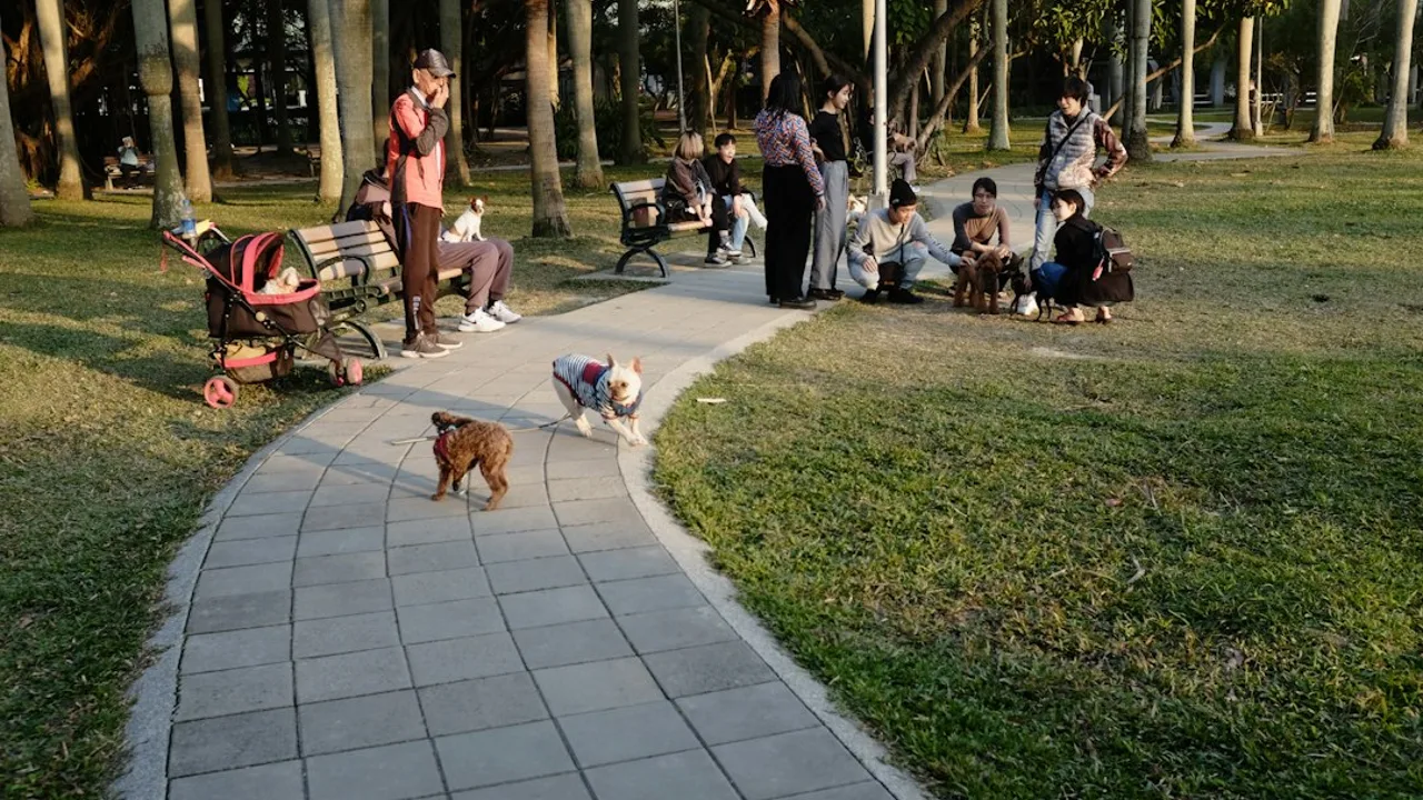 Fotografía ilustrativa de un perro