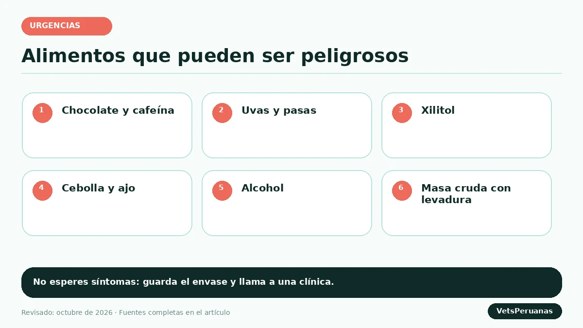 Gráfico editorial sobre Alimentos tóxicos para perros: lista y qué hacer