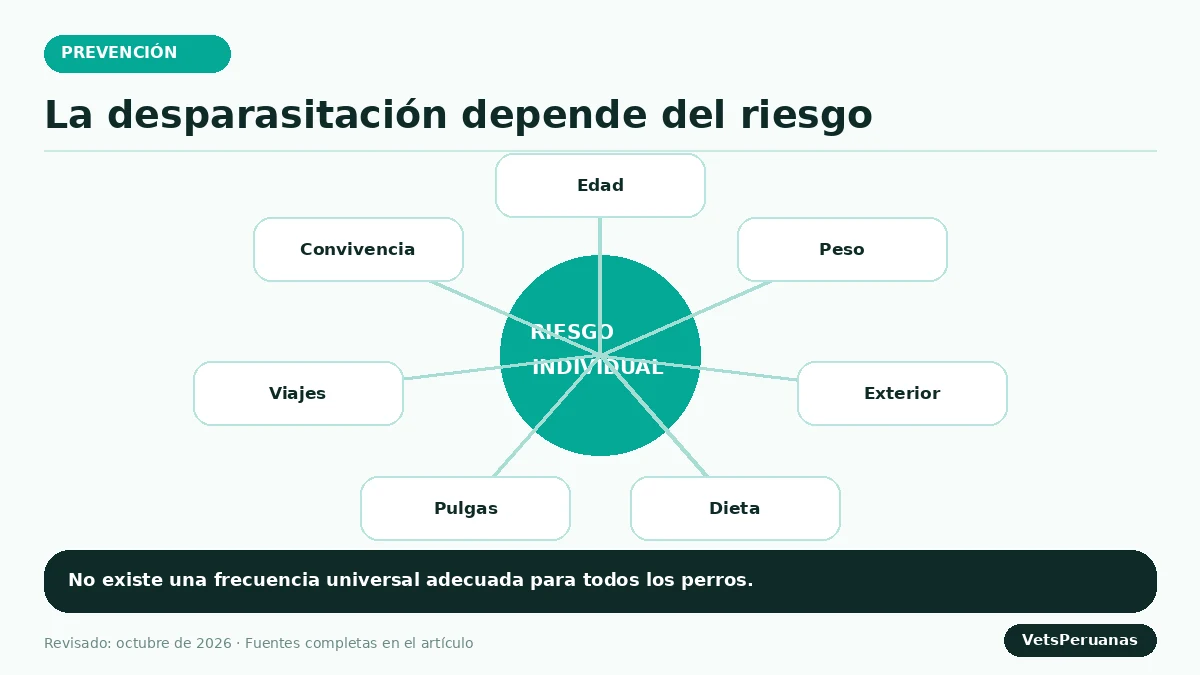 Gráfico editorial sobre Desparasitación en perros: guía por edad y estilo de vida