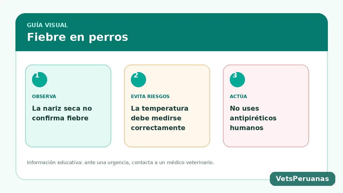 Resumen visual: Fiebre en perros: cómo saber si tiene y qué hacer