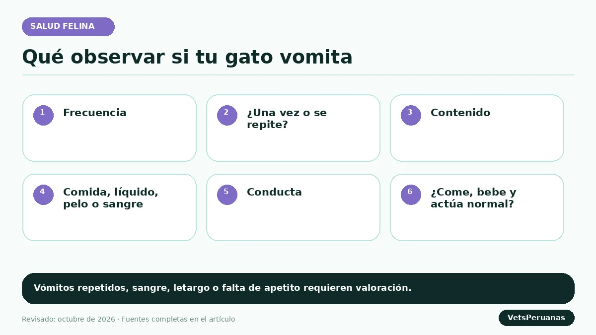 Gráfico editorial sobre ¿Por qué mi gato vomita? Causas y señales de alerta