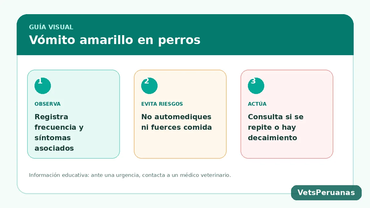Resumen visual: ¿Por qué mi perro vomita amarillo? Causas y señales de alarma