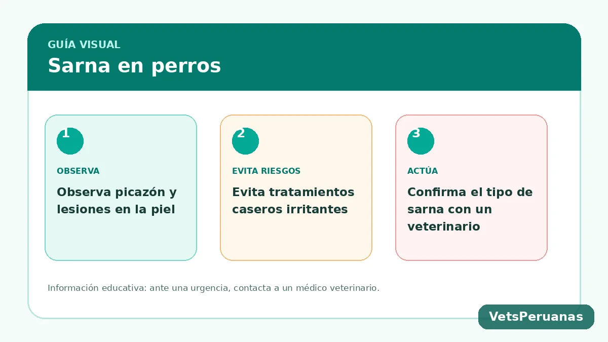 Resumen visual: Sarna en perros: síntomas, tipos y tratamiento veterinario