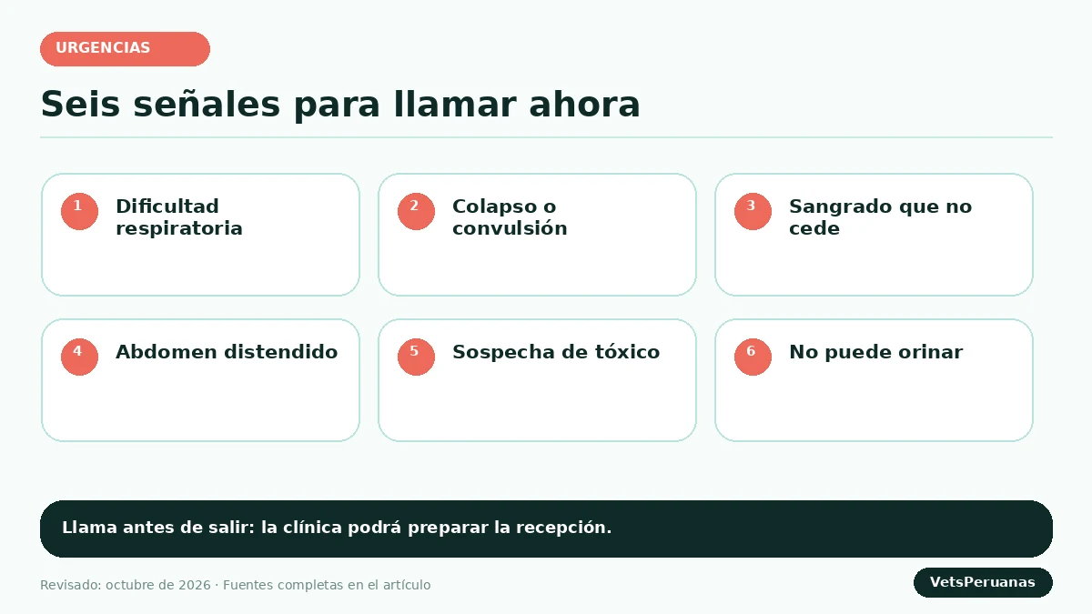 Gráfico editorial sobre Señales de emergencia veterinaria en perros y gatos