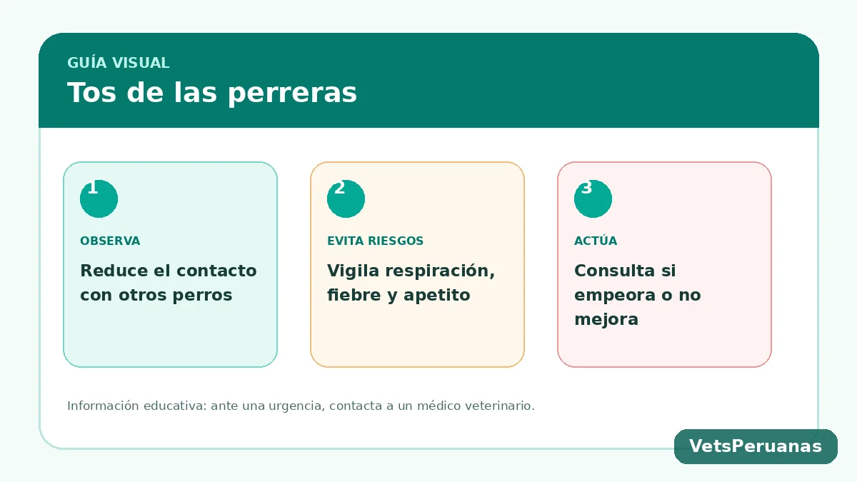Resumen visual: Tos de las perreras: síntomas, contagio y cuidados