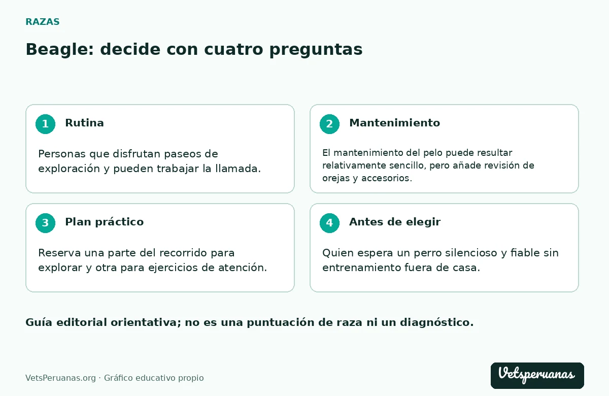 Beagle: decide con cuatro preguntas: Rutina — Personas que disfrutan paseos de exploración y pueden trabajar la llamada.. Mantenimiento — El mantenimiento del pelo puede resultar relativamente sencillo, pero añade revisión de orejas y accesorios. Si aparece dolor o secreción, no conviertas la limpieza casera en tratamiento.. Plan práctico — Reserva una parte del recorrido para explorar y otra para ejercicios de atención. Una correa apropiada permite dar margen sin arriesgar un escape; no lo sueltes para comprobar si regresará.. Antes de elegir — Quien espera un perro silencioso y fiable sin entrenamiento fuera de casa.