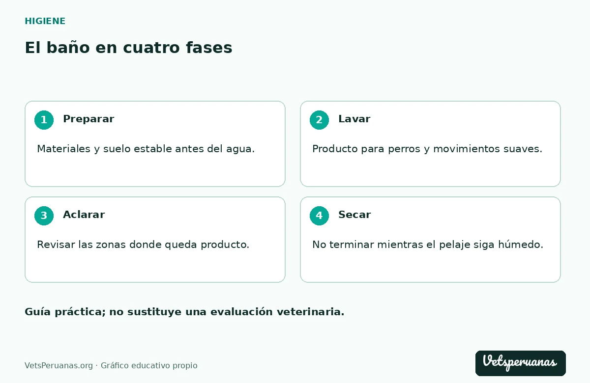 El baño en cuatro fases: Preparar — Materiales y suelo estable antes del agua.. Lavar — Producto para perros y movimientos suaves.. Aclarar — Revisar las zonas donde queda producto.. Secar — No terminar mientras el pelaje siga húmedo.