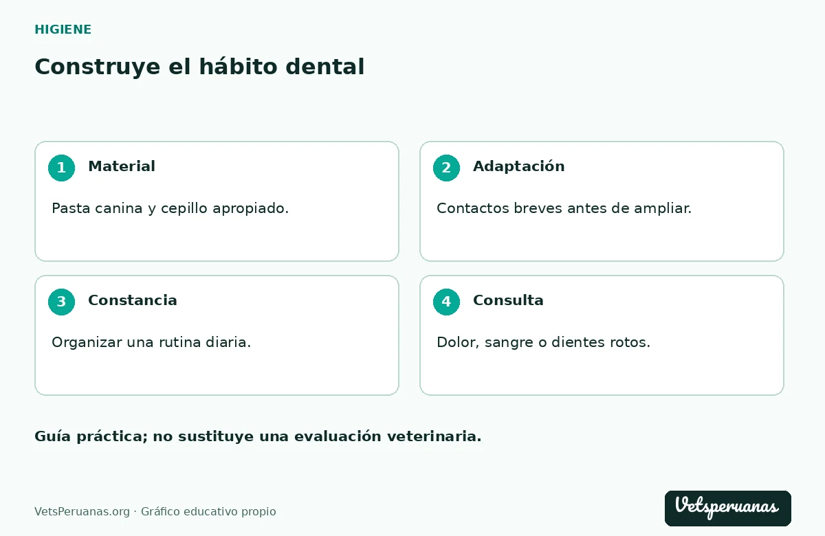 Construye el hábito dental: Material — Pasta canina y cepillo apropiado.. Adaptación — Contactos breves antes de ampliar.. Constancia — Organizar una rutina diaria.. Consulta — Dolor, sangre o dientes rotos.