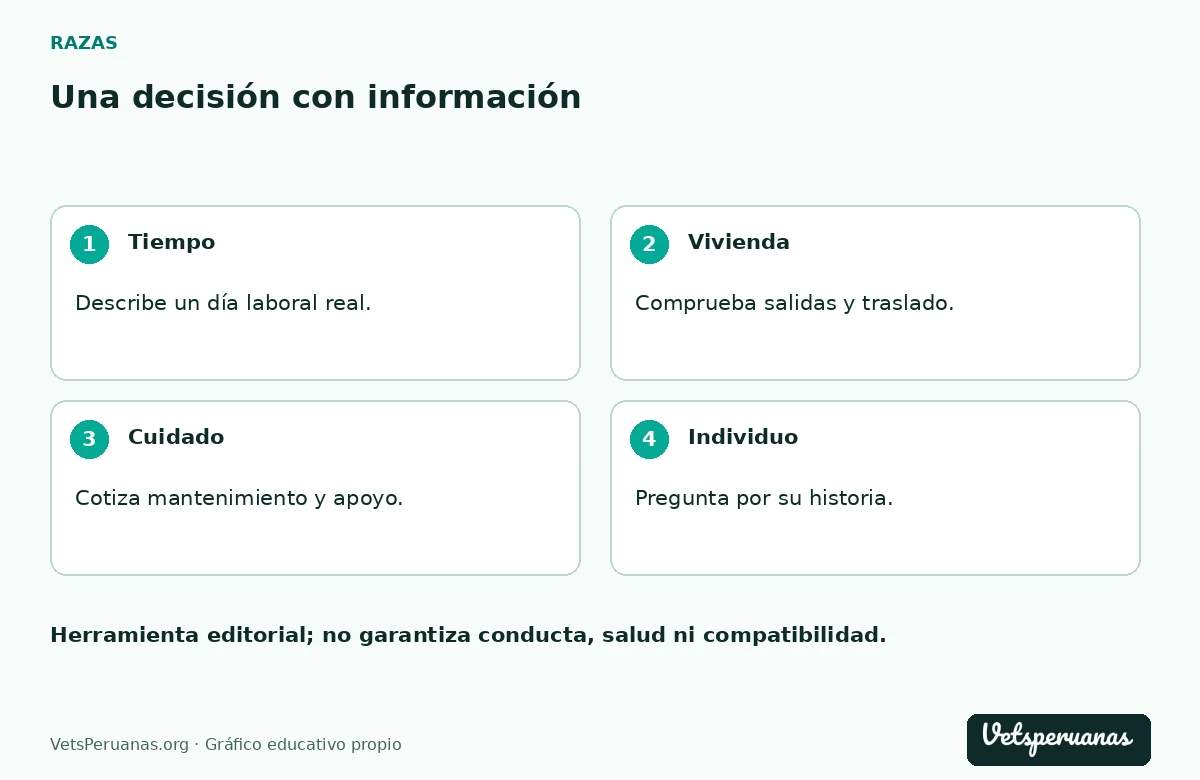 Una decisión con información: Tiempo — Describe un día laboral real.. Vivienda — Comprueba salidas y traslado.. Cuidado — Cotiza mantenimiento y apoyo.. Individuo — Pregunta por su historia.