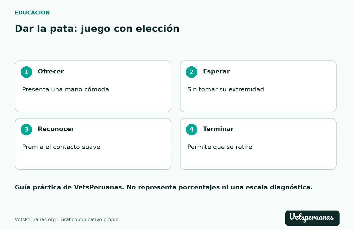 Dar la pata: juego con elección: Ofrecer — Presenta una mano cómoda. Esperar — Sin tomar su extremidad. Reconocer — Premia el contacto suave. Terminar — Permite que se retire