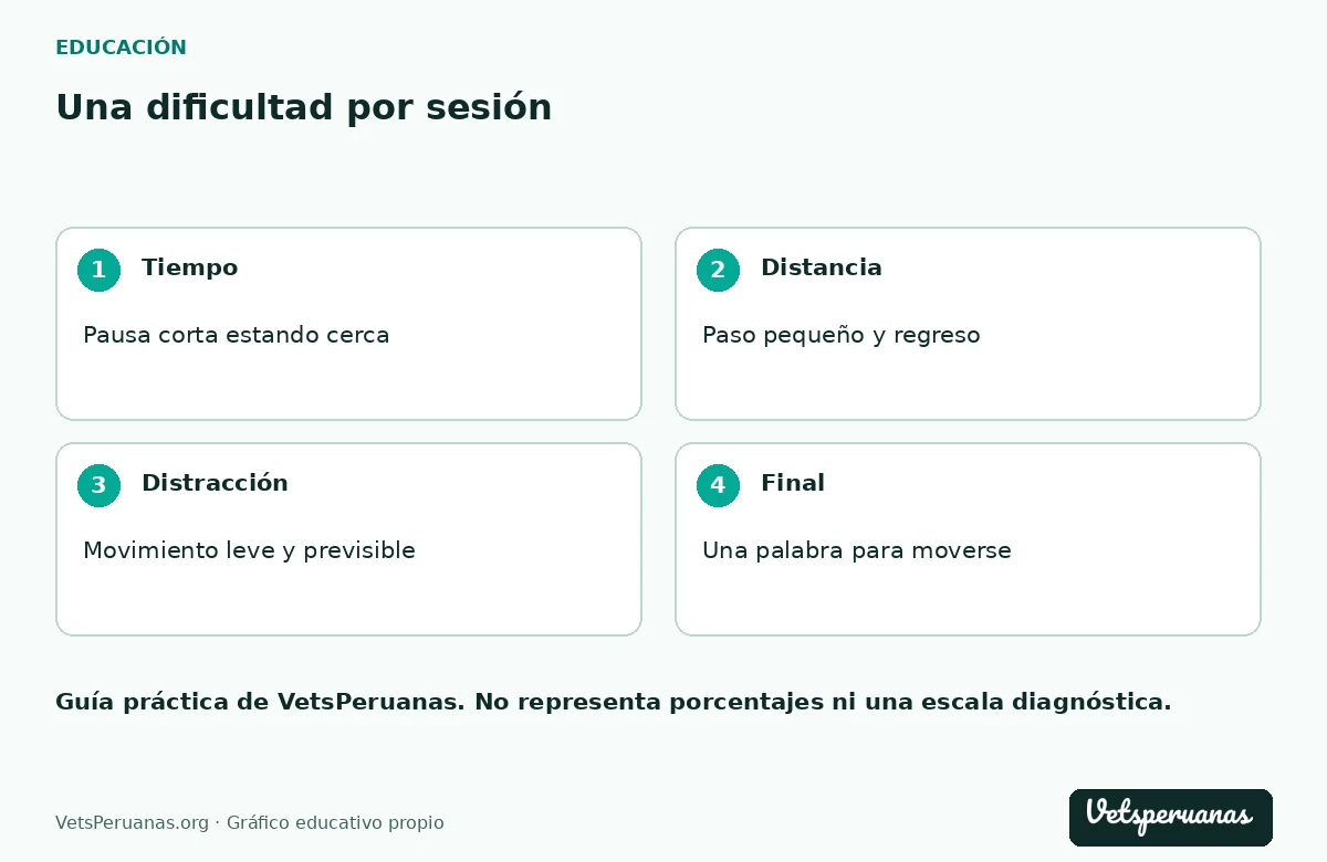 Una dificultad por sesión: Tiempo — Pausa corta estando cerca. Distancia — Paso pequeño y regreso. Distracción — Movimiento leve y previsible. Final — Una palabra para moverse