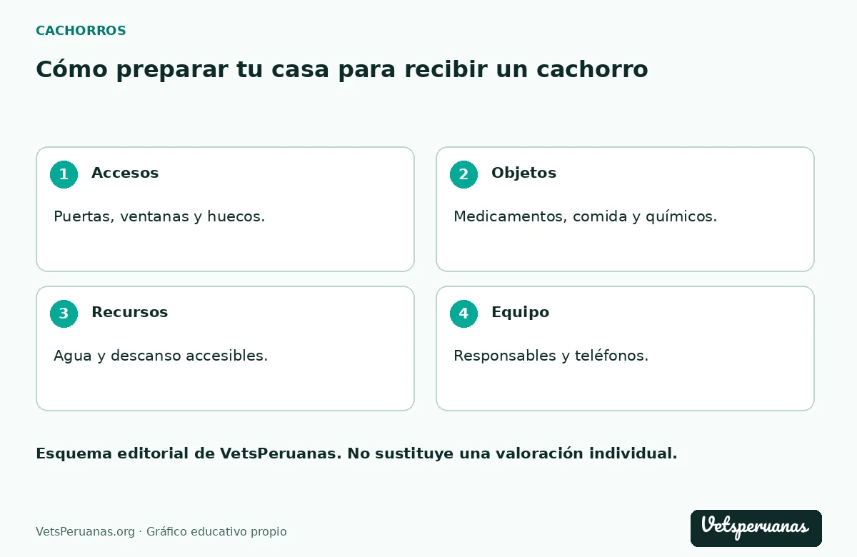 Cómo preparar tu casa para recibir un cachorro: Accesos — Puertas, ventanas y huecos.. Objetos — Medicamentos, comida y químicos.. Recursos — Agua y descanso accesibles.. Equipo — Responsables y teléfonos.