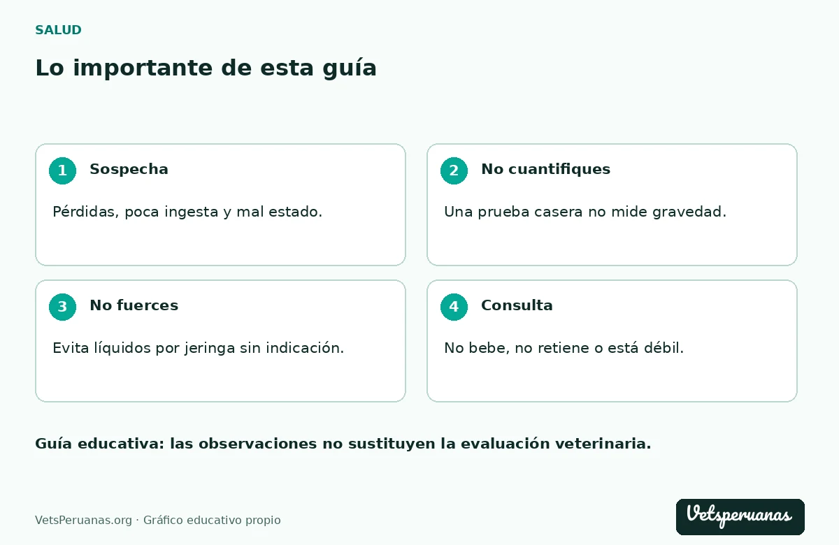 Lo importante de esta guía: Sospecha — Pérdidas, poca ingesta y mal estado.. No cuantifiques — Una prueba casera no mide gravedad.. No fuerces — Evita líquidos por jeringa sin indicación.. Consulta — No bebe, no retiene o está débil.