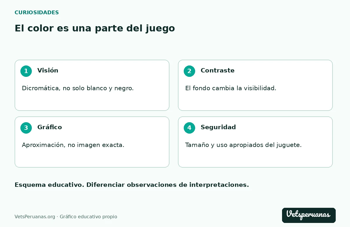 El color es una parte del juego: Visión — Dicromática, no solo blanco y negro.. Contraste — El fondo cambia la visibilidad.. Gráfico — Aproximación, no imagen exacta.. Seguridad — Tamaño y uso apropiados del juguete.