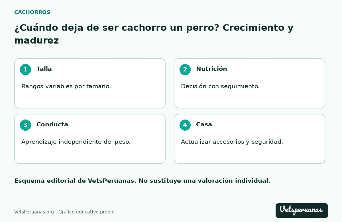 ¿Cuándo deja de ser cachorro un perro? Crecimiento y madurez: Talla — Rangos variables por tamaño.. Nutrición — Decisión con seguimiento.. Conducta — Aprendizaje independiente del peso.. Casa — Actualizar accesorios y seguridad.
