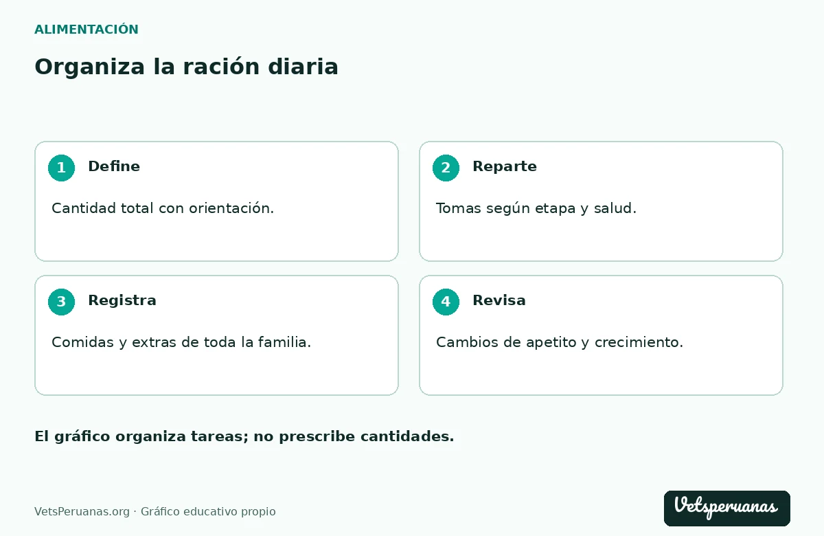 Organiza la ración diaria: Define — Cantidad total con orientación.. Reparte — Tomas según etapa y salud.. Registra — Comidas y extras de toda la familia.. Revisa — Cambios de apetito y crecimiento.