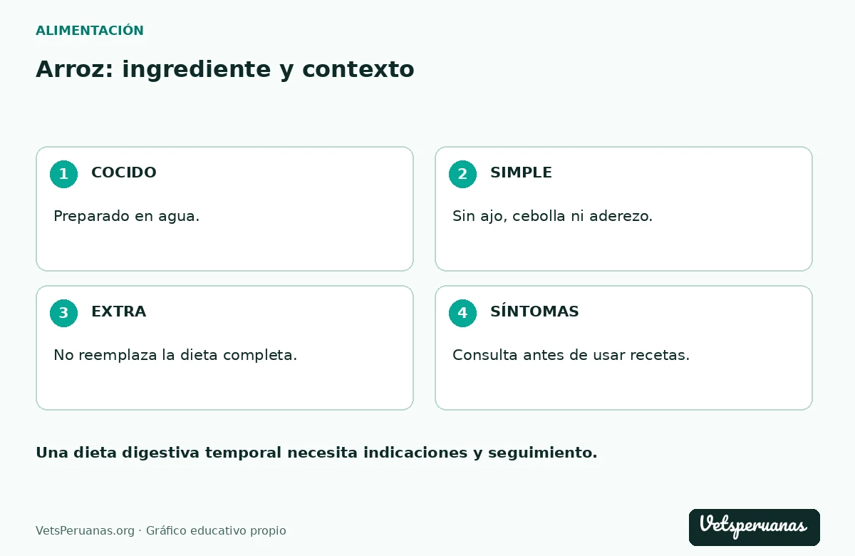 Arroz: ingrediente y contexto: COCIDO — Preparado en agua.. SIMPLE — Sin ajo, cebolla ni aderezo.. EXTRA — No reemplaza la dieta completa.. SÍNTOMAS — Consulta antes de usar recetas.