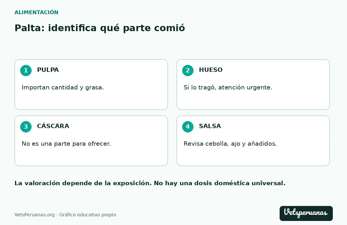 Palta: identifica qué parte comió: PULPA — Importan cantidad y grasa.. HUESO — Si lo tragó, atención urgente.. CÁSCARA — No es una parte para ofrecer.. SALSA — Revisa cebolla, ajo y añadidos.