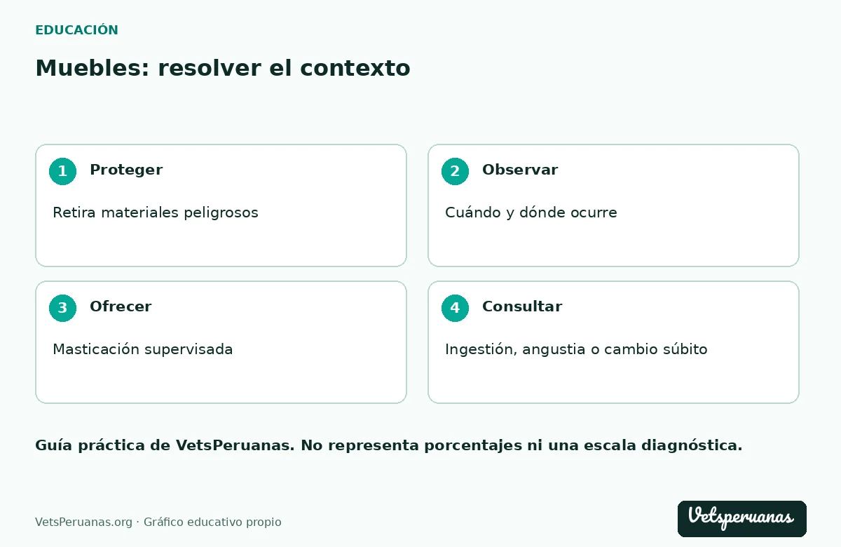 Muebles: resolver el contexto: Proteger — Retira materiales peligrosos. Observar — Cuándo y dónde ocurre. Ofrecer — Masticación supervisada. Consultar — Ingestión, angustia o cambio súbito