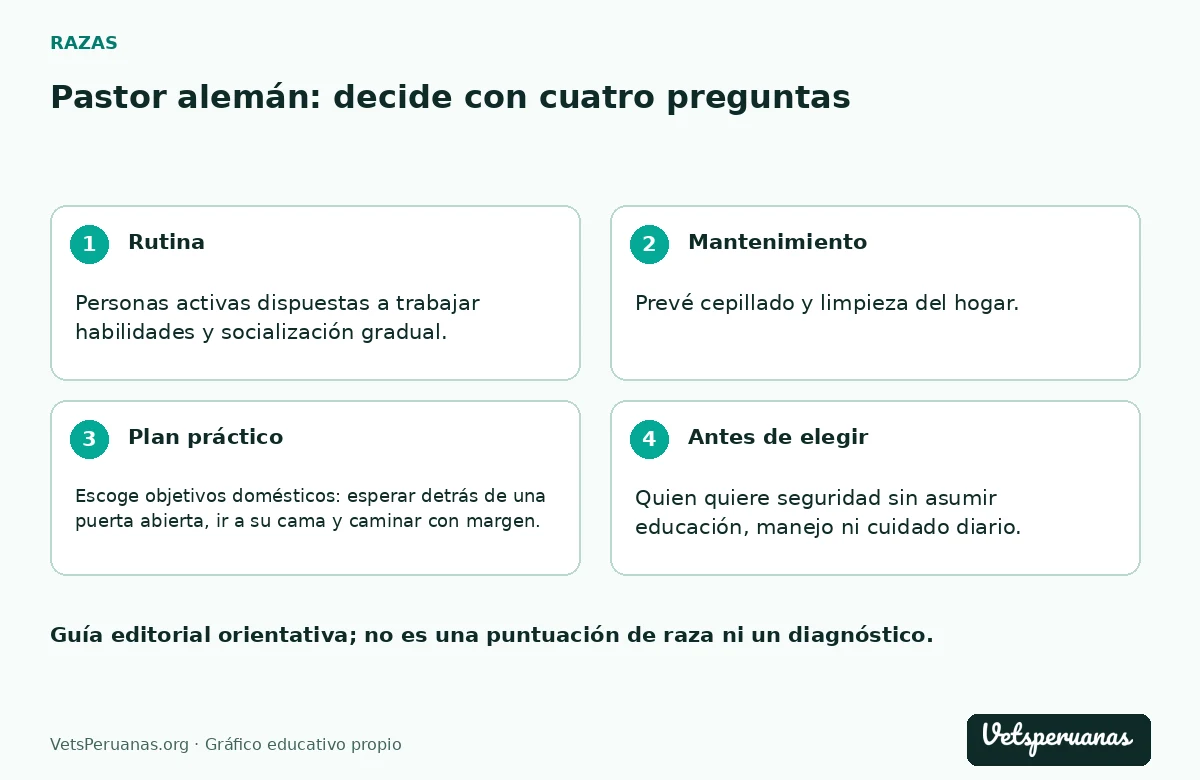 Pastor alemán: decide con cuatro preguntas: Rutina — Personas activas dispuestas a trabajar habilidades y socialización gradual.. Mantenimiento — Prevé cepillado y limpieza del hogar. Revisa también el ajuste del equipo: un perro que crece puede quedarse con un arnés demasiado pequeño antes de que la familia lo note.. Plan práctico — Escoge objetivos domésticos: esperar detrás de una puerta abierta, ir a su cama y caminar con margen. Son más útiles para una familia que ejercicios de intimidación o vídeos de protección sin contexto.. Antes de elegir — Quien quiere seguridad sin asumir educación, manejo ni cuidado diario.