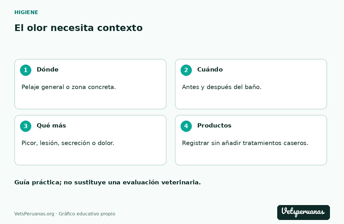 El olor necesita contexto: Dónde — Pelaje general o zona concreta.. Cuándo — Antes y después del baño.. Qué más — Picor, lesión, secreción o dolor.. Productos — Registrar sin añadir tratamientos caseros.