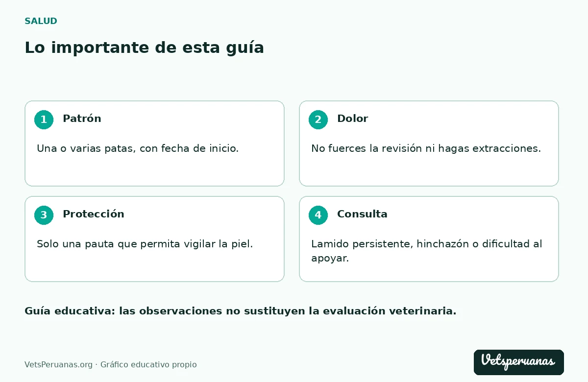 Lo importante de esta guía: Patrón — Una o varias patas, con fecha de inicio.. Dolor — No fuerces la revisión ni hagas extracciones.. Protección — Solo una pauta que permita vigilar la piel.. Consulta — Lamido persistente, hinchazón o dificultad al apoyar.