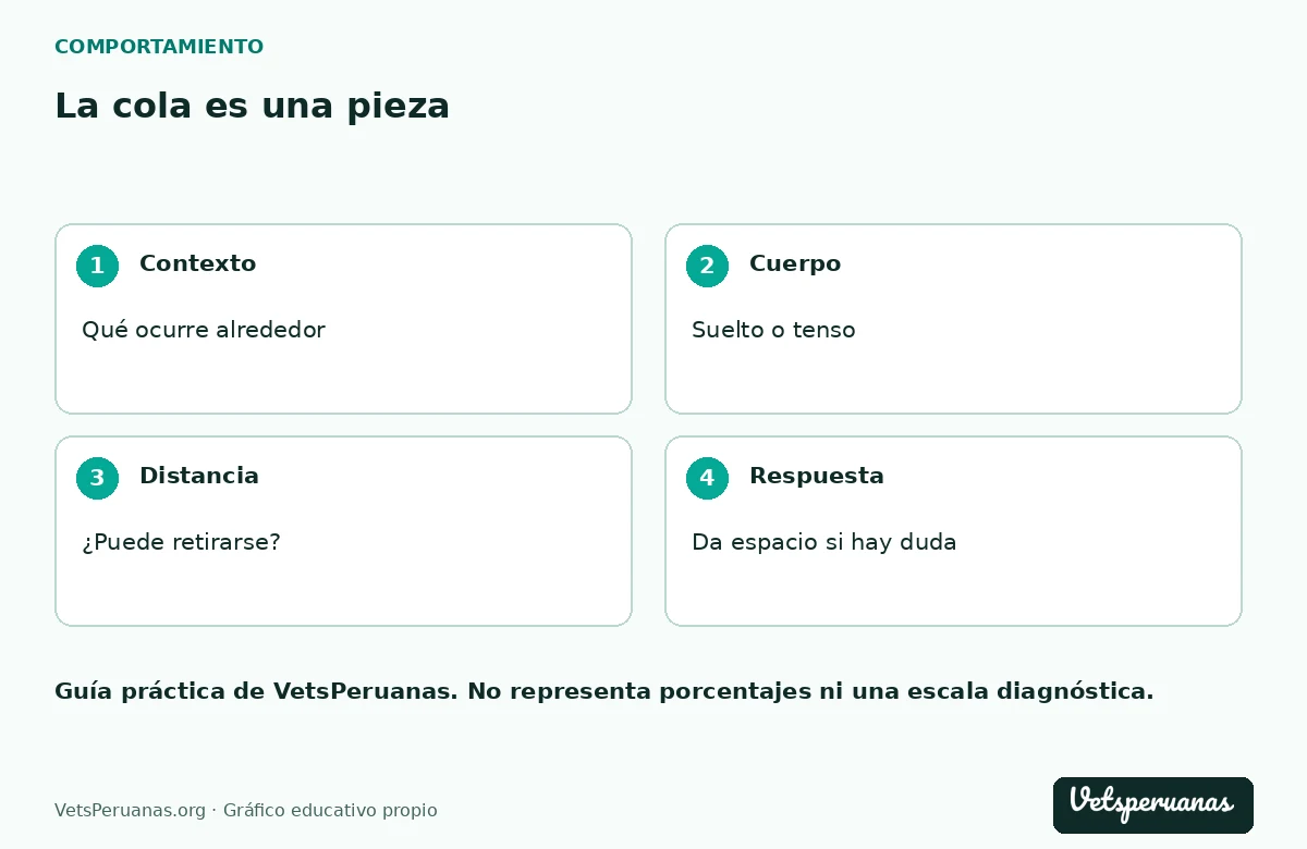 La cola es una pieza: Contexto — Qué ocurre alrededor. Cuerpo — Suelto o tenso. Distancia — ¿Puede retirarse?. Respuesta — Da espacio si hay duda