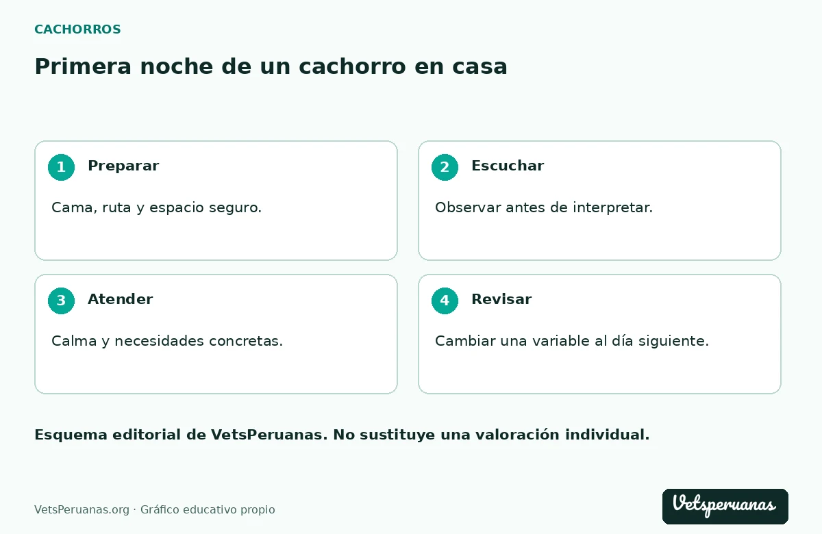 Primera noche de un cachorro en casa: Preparar — Cama, ruta y espacio seguro.. Escuchar — Observar antes de interpretar.. Atender — Calma y necesidades concretas.. Revisar — Cambiar una variable al día siguiente.