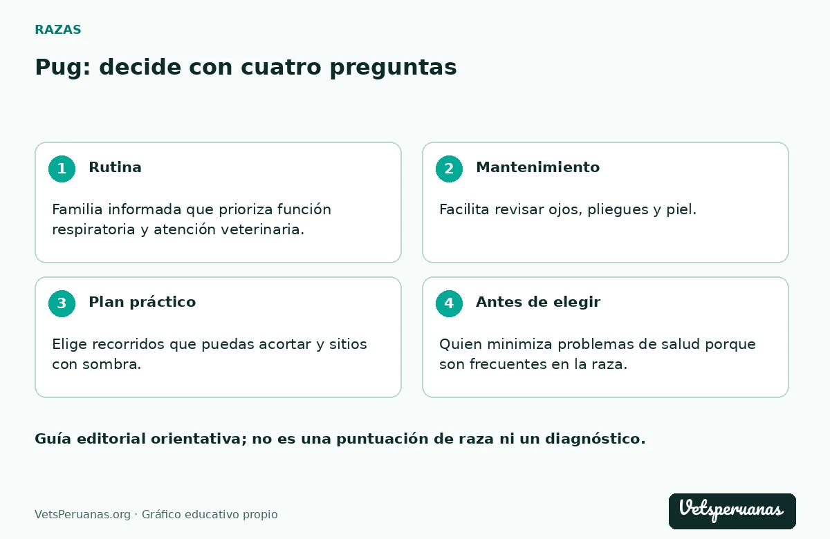 Pug: decide con cuatro preguntas: Rutina — Familia informada que prioriza función respiratoria y atención veterinaria.. Mantenimiento — Facilita revisar ojos, pliegues y piel. Pide demostración de la higiene adecuada para el individuo; no copies una rutina de internet si hay irritación o una lesión.. Plan práctico — Elige recorridos que puedas acortar y sitios con sombra. Lleva agua y evita obligarlo a seguir porque el paseo aún no terminó; un plan flexible protege mejor que una cuota fija de distancia.. Antes de elegir — Quien minimiza problemas de salud porque son frecuentes en la raza.