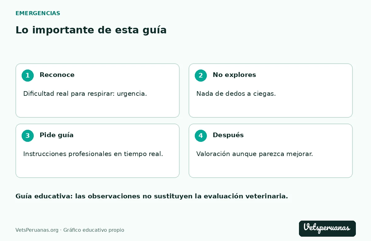 Lo importante de esta guía: Reconoce — Dificultad real para respirar: urgencia.. No explores — Nada de dedos a ciegas.. Pide guía — Instrucciones profesionales en tiempo real.. Después — Valoración aunque parezca mejorar.