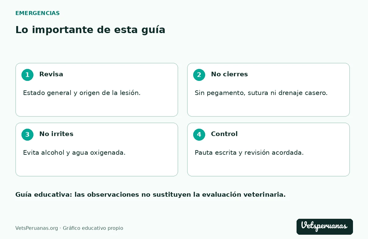 Lo importante de esta guía: Revisa — Estado general y origen de la lesión.. No cierres — Sin pegamento, sutura ni drenaje casero.. No irrites — Evita alcohol y agua oxigenada.. Control — Pauta escrita y revisión acordada.