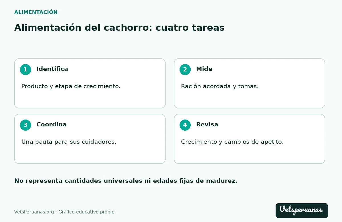 Alimentación del cachorro: cuatro tareas: Identifica — Producto y etapa de crecimiento.. Mide — Ración acordada y tomas.. Coordina — Una pauta para sus cuidadores.. Revisa — Crecimiento y cambios de apetito.