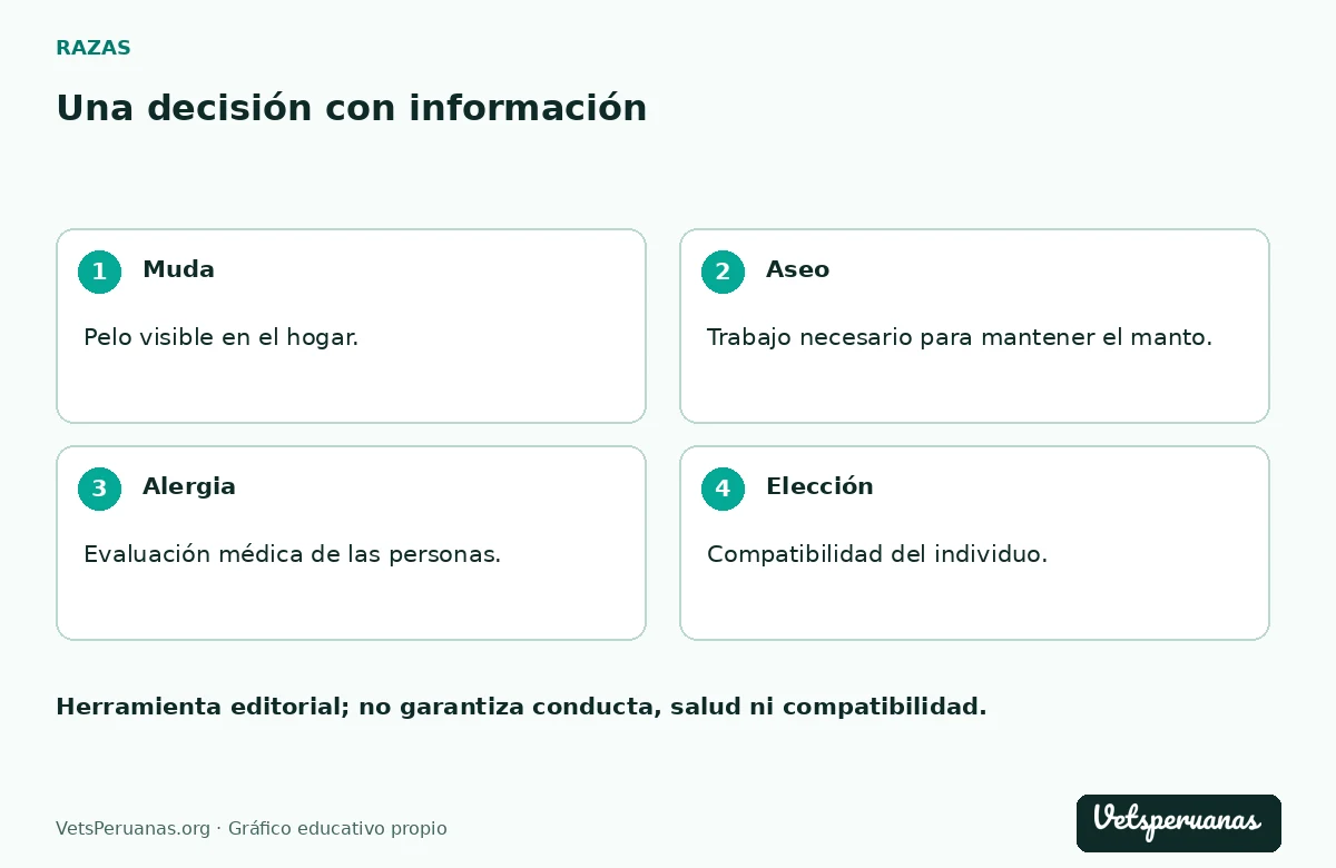 Una decisión con información: Muda — Pelo visible en el hogar.. Aseo — Trabajo necesario para mantener el manto.. Alergia — Evaluación médica de las personas.. Elección — Compatibilidad del individuo.