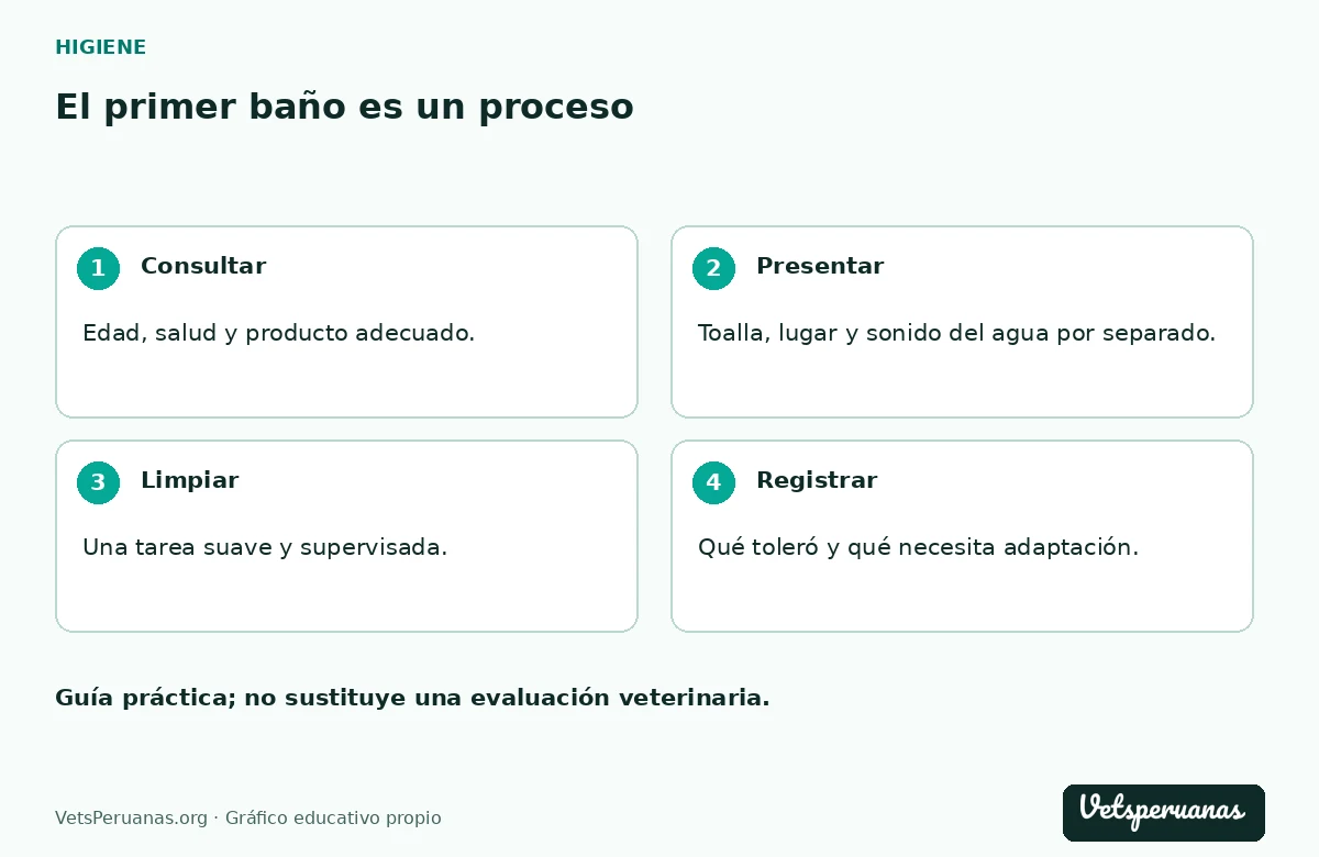 El primer baño es un proceso: Consultar — Edad, salud y producto adecuado.. Presentar — Toalla, lugar y sonido del agua por separado.. Limpiar — Una tarea suave y supervisada.. Registrar — Qué toleró y qué necesita adaptación.