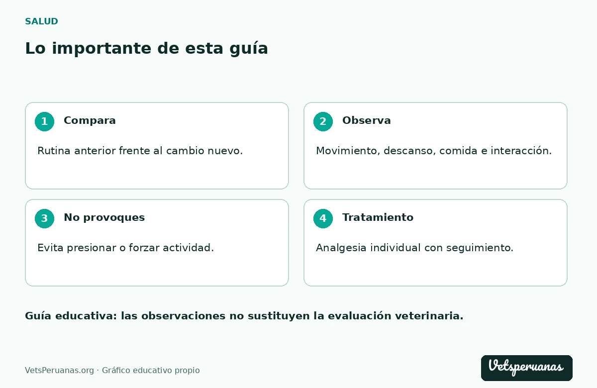 Lo importante de esta guía: Compara — Rutina anterior frente al cambio nuevo.. Observa — Movimiento, descanso, comida e interacción.. No provoques — Evita presionar o forzar actividad.. Tratamiento — Analgesia individual con seguimiento.