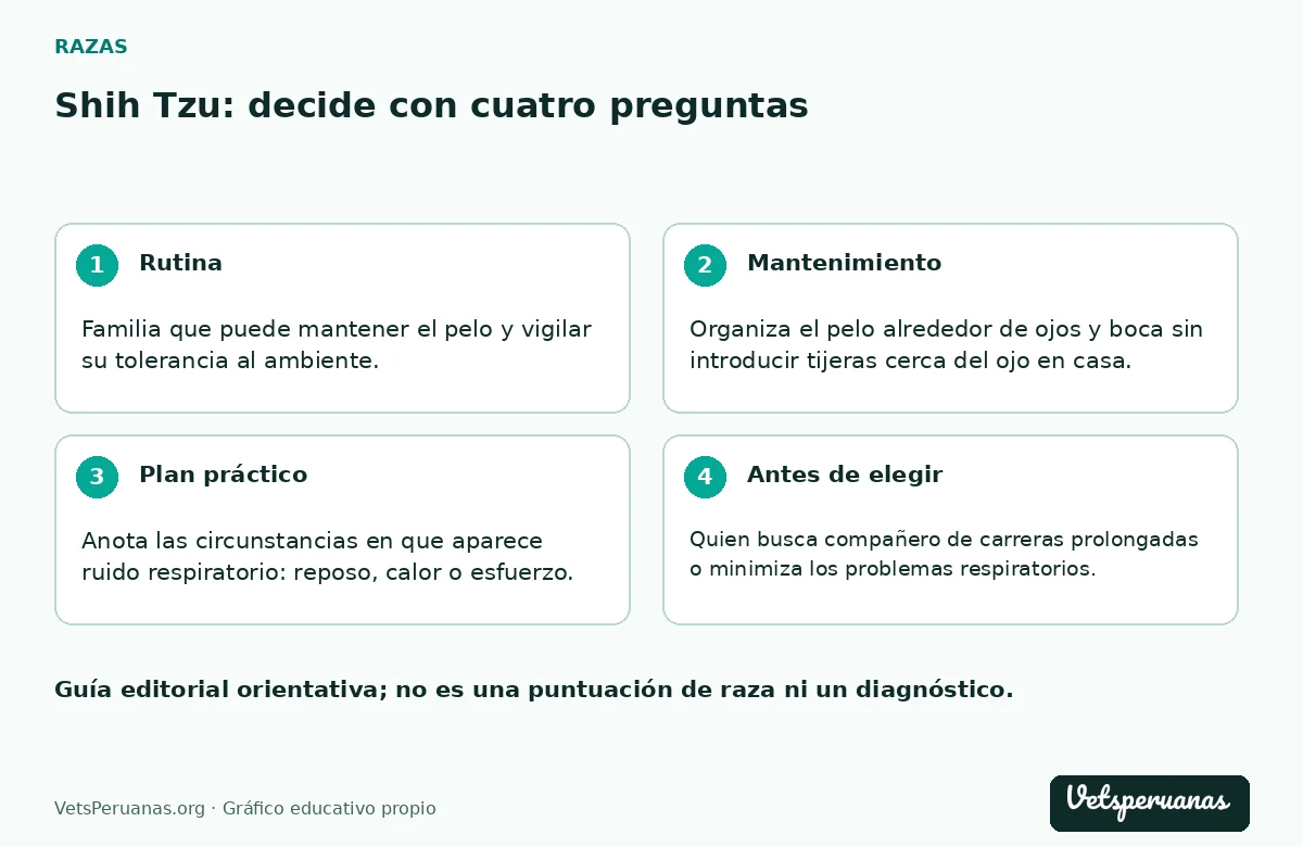 Shih Tzu: decide con cuatro preguntas: Rutina — Familia que puede mantener el pelo y vigilar su tolerancia al ambiente.. Mantenimiento — Organiza el pelo alrededor de ojos y boca sin introducir tijeras cerca del ojo en casa. Un profesional puede proponer un mantenimiento que permita ver e inspeccionar la cara con facilidad.. Plan práctico — Anota las circunstancias en que aparece ruido respiratorio: reposo, calor o esfuerzo. Lleva esa información al veterinario y evita exigirle actividad para comprobar cuánto aguanta.. Antes de elegir — Quien busca compañero de carreras prolongadas o minimiza los problemas respiratorios.