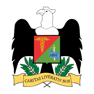 Escudo de Junín